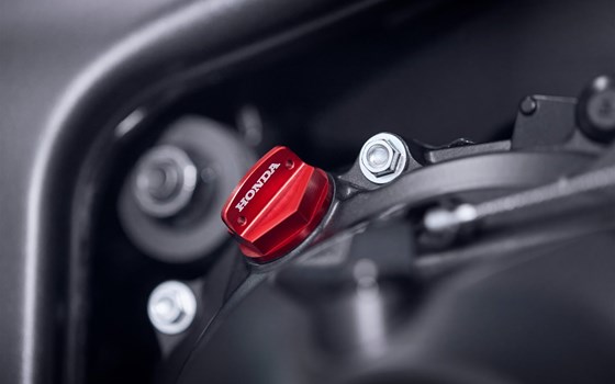 Honda Hornet 1000 / Modell 2025 / bei Tempo-Zweirad-Treff GmbH in Nettetal-Kaldenkirchen - Bild 6