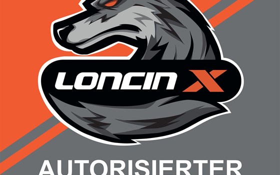 !!! ABSOFORT BEI UNS LONCIN ATV-UTV QUAD`S !!! - Bild 2