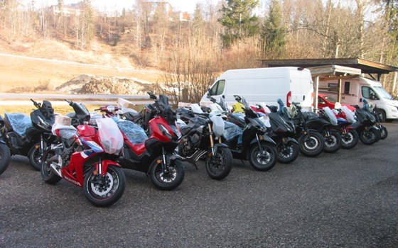 ENDLICH EINGETROFFEN - Bild 1