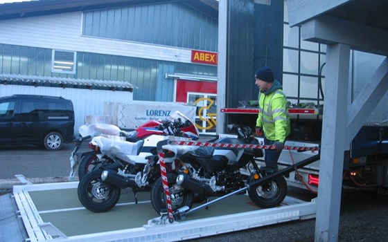 ENDLICH EINGETROFFEN - Bild 10