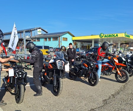 Impressionen Frühlingsausstellung 29./30. März 2025