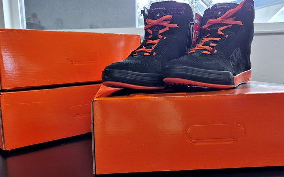 NEW, NEW, NEW!!! - Bild 1