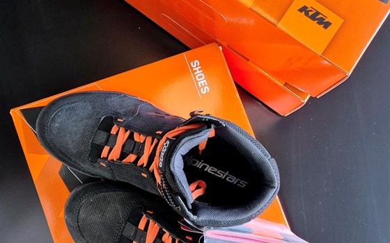 NEW, NEW, NEW!!! - Bild 2