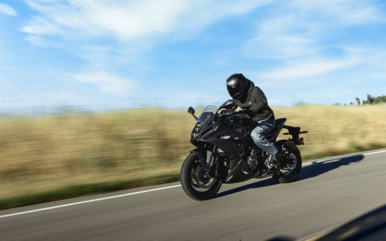 Saison 2025! Neue Vorführer/Mieter - Bild 5