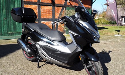 Honda Forza 300- Service neu!
