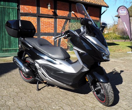 Honda Forza 300- Service neu!