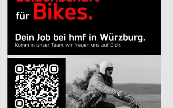 Team-Player mit einem Lächeln? - Bild 2