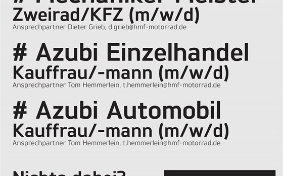 Team-Player mit einem Lächeln? - Bild 3