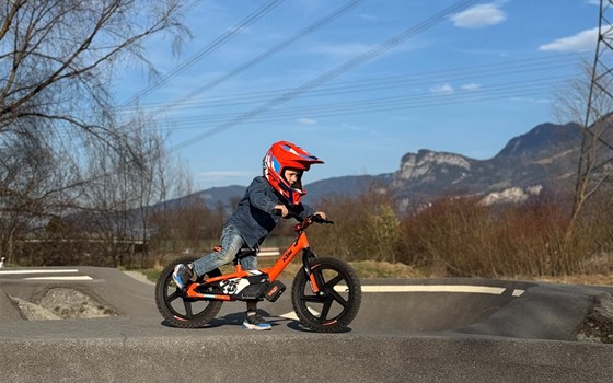 Früh übt sich!!! - Bild 2