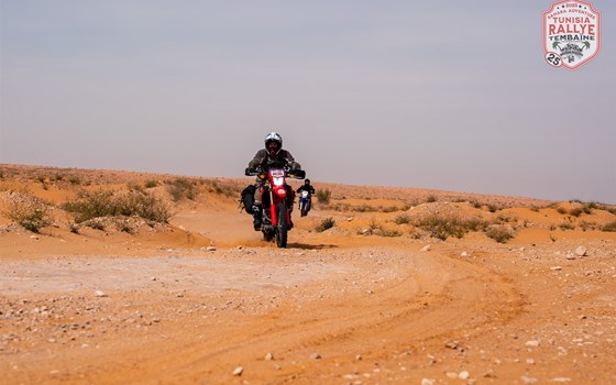 Honda CRF300 – das perfekte Bike für die Wüste! Urlaubsgrüße aus Tunesien - Bild 2