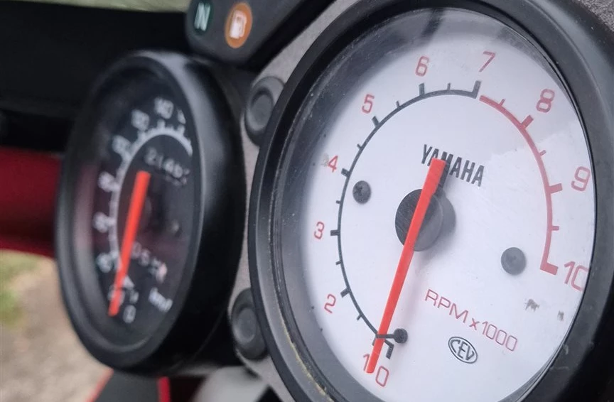 Kultbike: Yamaha SZR660 Bild 4: Kultbike: Yamaha SZR660
