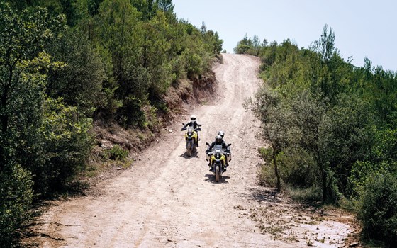 SUZUKI DL800DE - Bild 3