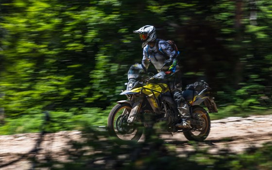 SUZUKI DL800DE - Bild 4