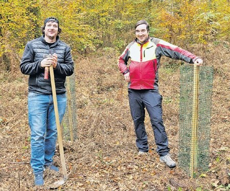 Unsere «bäumige» Idee wächst munter weiter