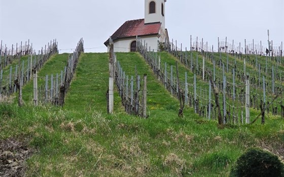 ROYAL ENFIELD SPRING STARTER - AUSFAHRT - Bild 8