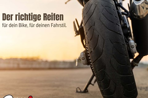 Ginzinger GmbH Salzburg-News: Der richtige Reifen für dein Bike | Ginzinger