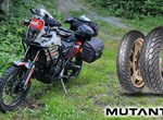 DUNLOP Tages-Testride Adventure inkl. Reifensatz! 279,00 €