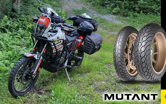 DUNLOP Tages-Testride Adventure inkl. Reifensatz! 279,00 € - Bild 4