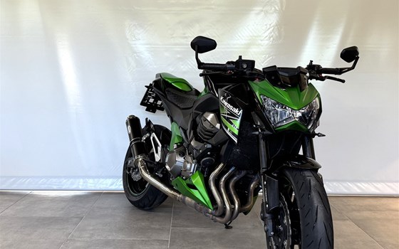 Neu eingetroffen.... - Bild 2