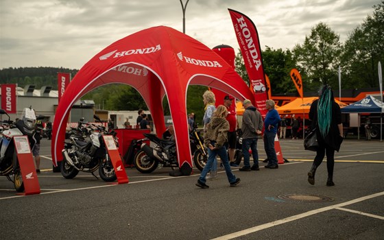 Testival 2025 Breuberg - Bild 4