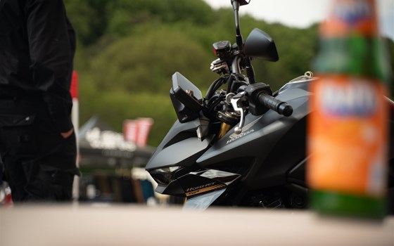 Testival 2025 Breuberg - Bild 8