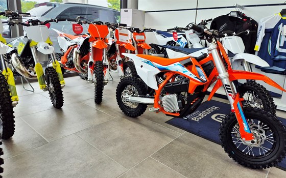 von KLEIN zu GROSS!!! - Bild 1