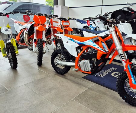 von KLEIN zu GROSS!!!