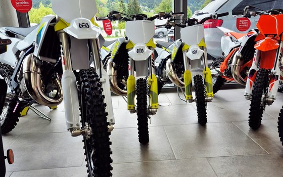 von KLEIN zu GROSS!!! - Bild 2