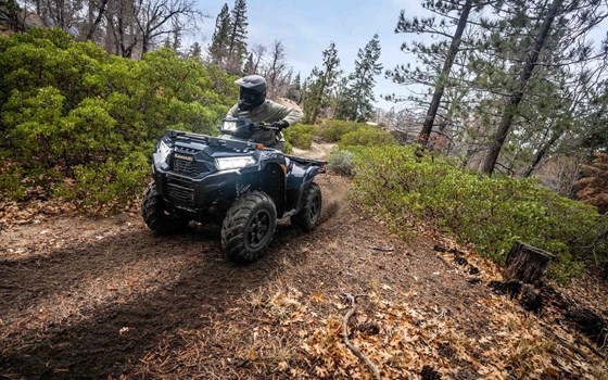 Neue Modelle für 2026 | Kawasaki - Bild 1