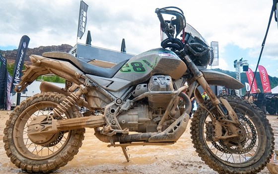 Moto Guzzi feiert erfolgreiche Premiere beim Erzberg Rodeo 2025 - Bild 3