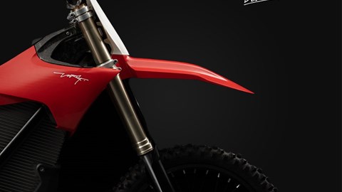 STARK FUTURE BEI UNS AB SEPTEMBER IM HAUS 