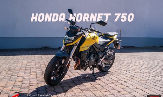 Honda Hornet 750