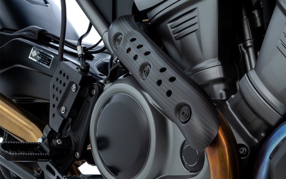 Krümmerschutz- und Hitzeschild für die Harley-Davidson Pan America 1250 - Bild 1