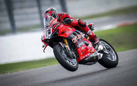 WSBK Runde 9 in Magny Cours: Nicoló Bulega in allen Rennen auf Platz 2 - Bild 9