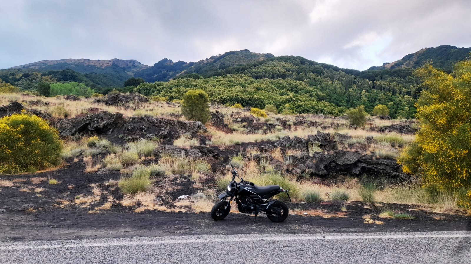 Rider of the month: Arianna