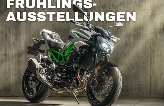 Saisonstart mit unseren Frühlingsausstellungen - Bild 3