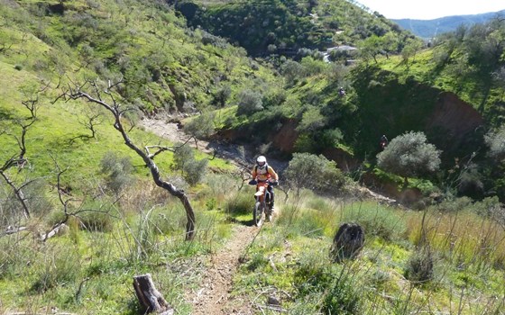 Sonne statt Schneematsch! Andalusien inkl. Mietbike. - Bild 1