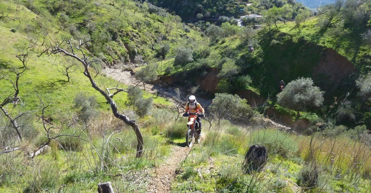 Sonne statt Schneematsch! Andalusien inkl. Mietbike.