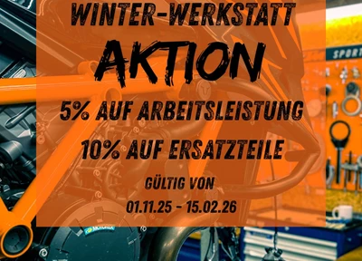 NEWS Winter-Werkstattaktion!