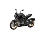 Die brandneue TRIUMPH Trident 800: Roadster-Fahrspaß in der Mittelklasse!