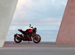 Die brandneue TRIUMPH Trident 800: Roadster-Fahrspaß in der Mittelklasse!