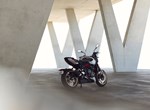 Die brandneue TRIUMPH Trident 800: Roadster-Fahrspaß in der Mittelklasse!