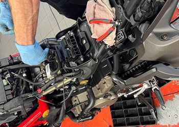 Winteraktion 2025/2026