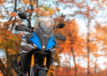 Herzklopfen im Herbst