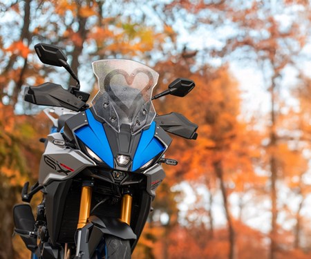 Herzklopfen im Herbst