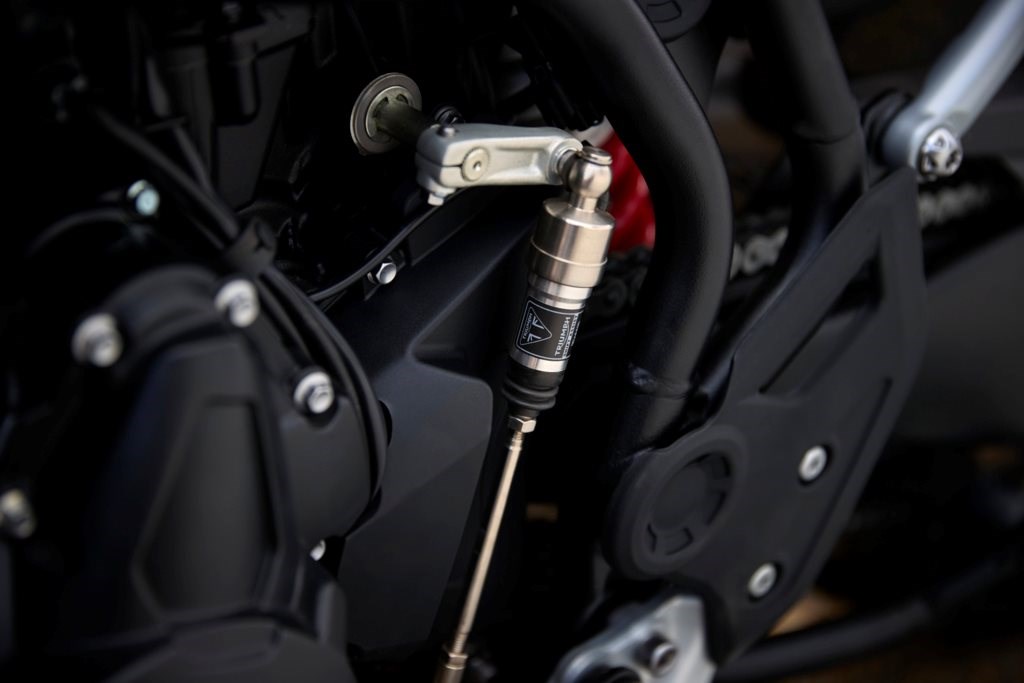 Triumph Tiger 900 Alpine und Desert Edition