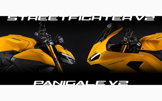 NUOVO 2026 DUCATI !  - Bild 1