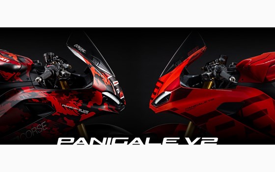 NUOVO 2026 DUCATI !  - Bild 3