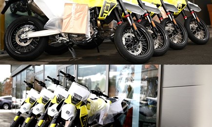 Frisch eingetroffen!!!