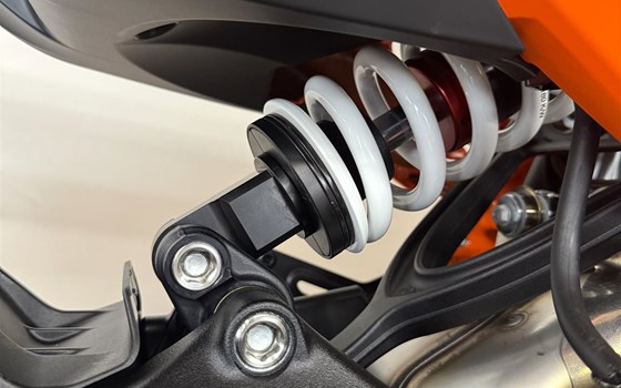 SIE IST DA! - Bild 3